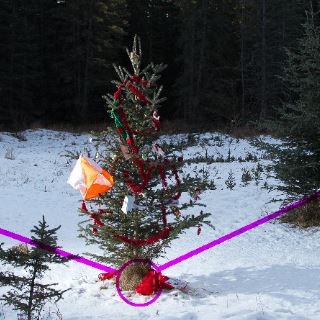 Jul i orienteringsskoven